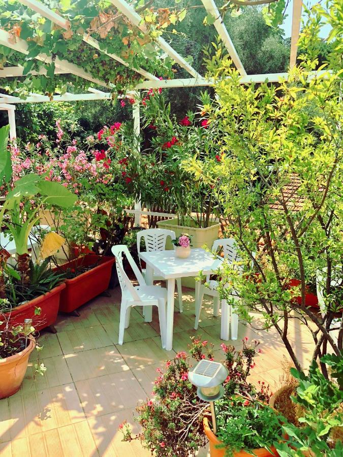 Villasud Appartement Nice